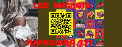 PSILOCYBIN Севастополь