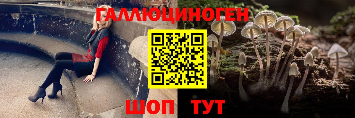 Галлюциногенные грибы Psilocybe  Вход с VPN  Галлюциногенные грибы GOLDEN TEACHER  Ревда 